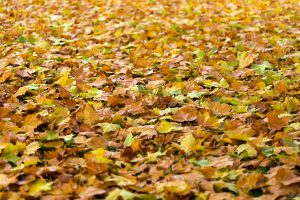 preparing your commercial HVAC system for fall and winter
